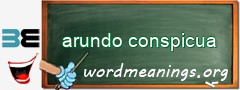 WordMeaning blackboard for arundo conspicua